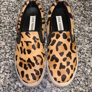 Leopard Ecentric Steve Madden Slip ons
